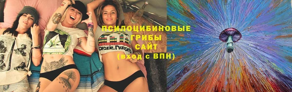 mdpv Богданович